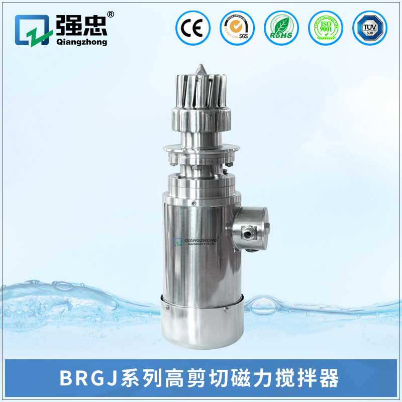 BRGJ乐竞(中国)lejing·官方网页版高剪切磁力搅拌器